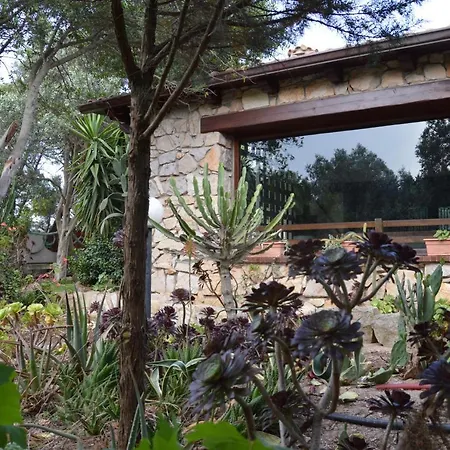 Giardino Degli Ulivi Holiday home