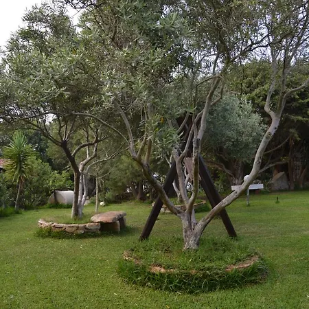 بيت للعطل Giardino Degli Ulivi غونيسا
