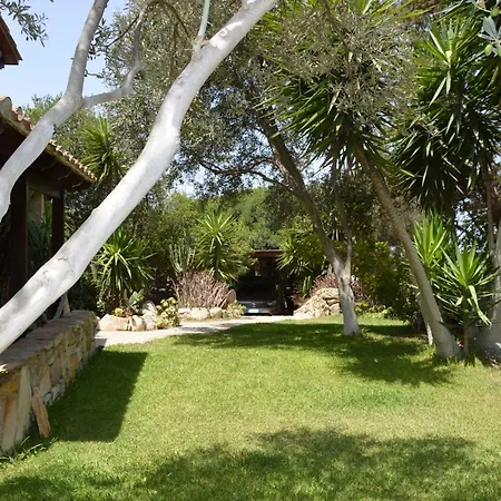 Giardino Degli Ulivi